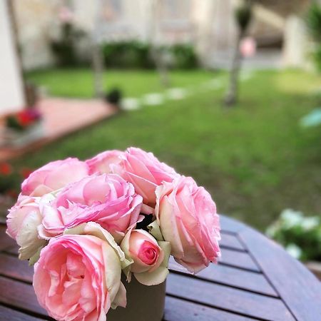 Victoria House B&B Pisa Luaran gambar