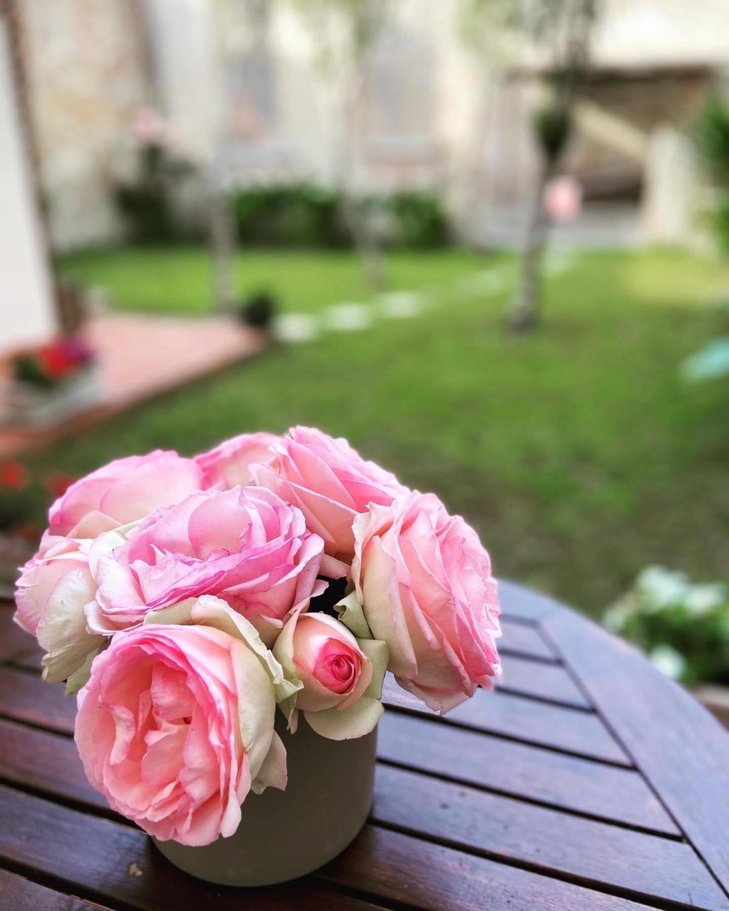 Victoria House B&B Pisa Luaran gambar