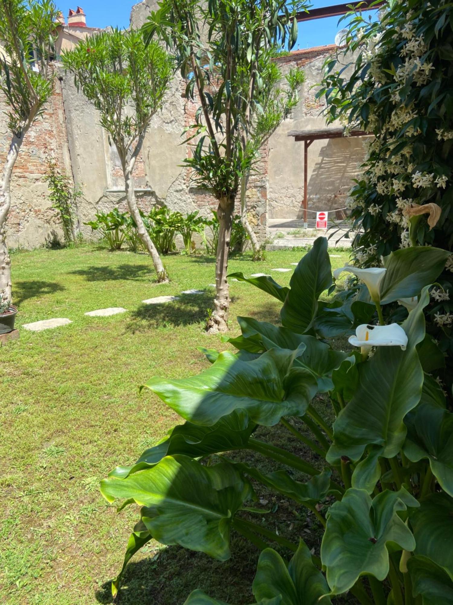 Victoria House B&B Pisa Luaran gambar